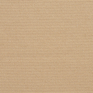 Essentials Outdoor Upholstery Drapery Fabric / Tan