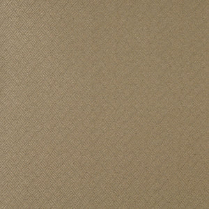 Essentials Heavy Duty Mid Century Modern Scotchgard Upholstery Fabric Tan Abstract / Sand