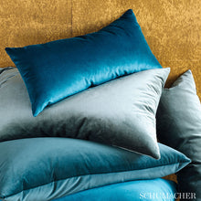 Load image into Gallery viewer, SCHUMACHER VENETIAN SILK VELVET FABRIC / PETAL