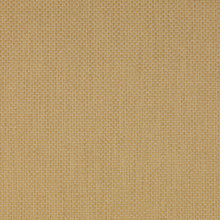 Load image into Gallery viewer, Lee Jofa Devon Fabric / Gold