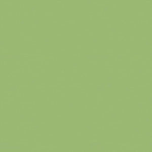 Brunschwig & Fils Satin La Tour Fabric / Vert