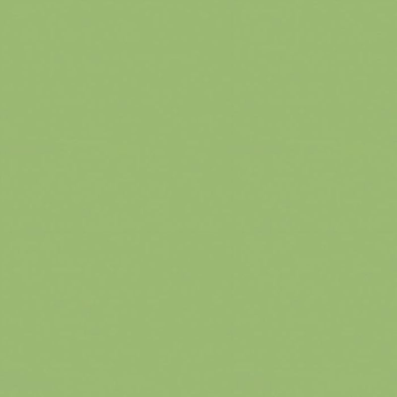 Brunschwig & Fils Satin La Tour Fabric / Vert