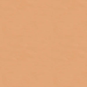 Brunschwig & Fils Satin La Tour Fabric / Saumon