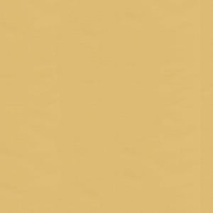 Brunschwig & Fils Ninon Taffetas Fabric / Biscuit