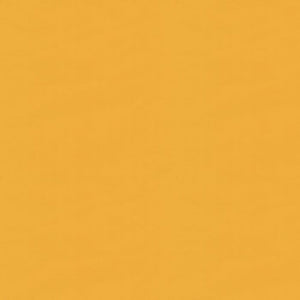Brunschwig & Fils Ninon Taffetas Fabric / Sunburst