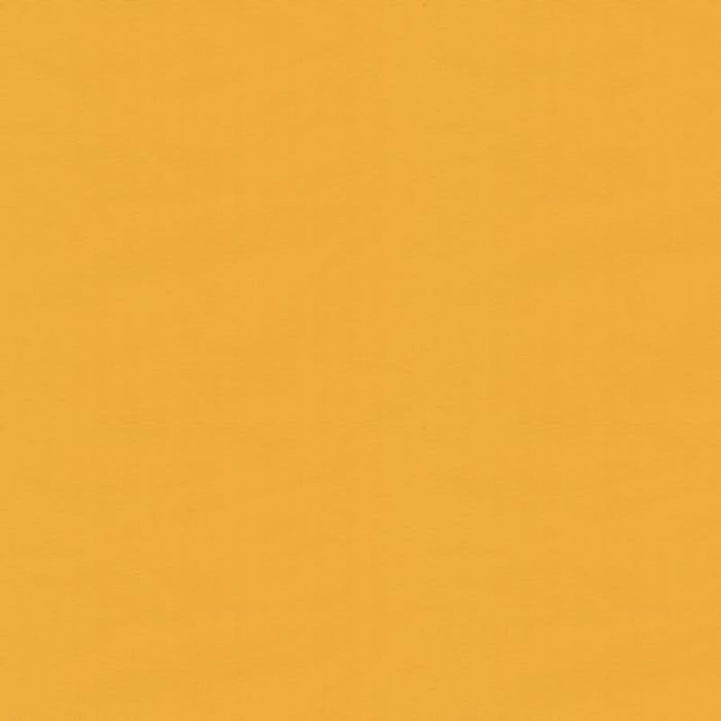 Brunschwig & Fils Ninon Taffetas Fabric / Sunburst