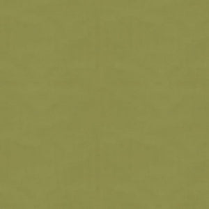 Brunschwig & Fils Ninon Taffetas Fabric / Fern