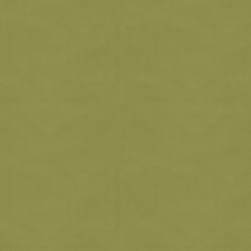 Brunschwig & Fils Ninon Taffetas Fabric / Fern