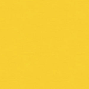 Brunschwig & Fils Ninon Taffetas Fabric / Jaune
