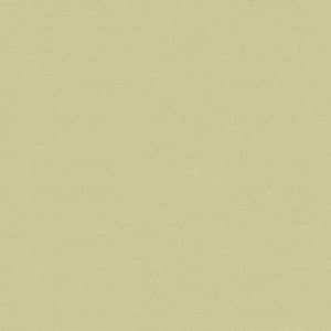 Brunschwig & Fils Ninon Taffetas Fabric / Jaune