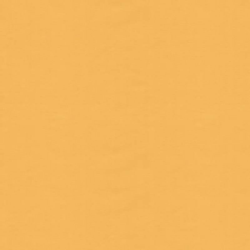 Brunschwig & Fils Ninon Taffetas Fabric / Jaune