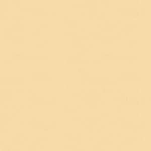 Brunschwig & Fils Ninon Taffetas Fabric / Beige