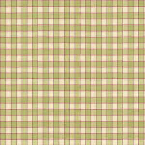 Brunschwig & Fils La Seyne Check Fabric / Apple