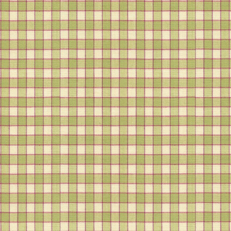 Brunschwig & Fils La Seyne Check Fabric / Apple