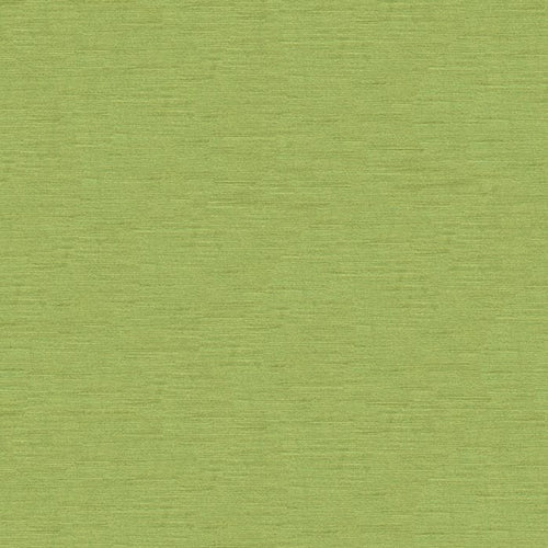 Brunschwig & Fils Quillan Velvet Fabric / Aloe