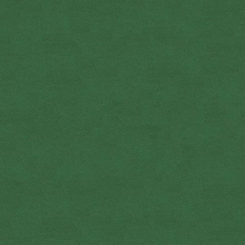 Brunschwig & Fils Lubeck Cotton Velvet Fabric / Ivy