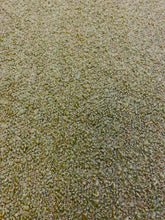 Load image into Gallery viewer, Designer Water &amp; Stain Resistant Sage Green Boucle MCM Mid Century Modern Upholstery Fabric WHS 3429