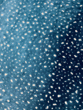 Load image into Gallery viewer, Designer Teal Blue Cream Animal Pattern Cheetah Velvet Upholstery Fabric STA 3927